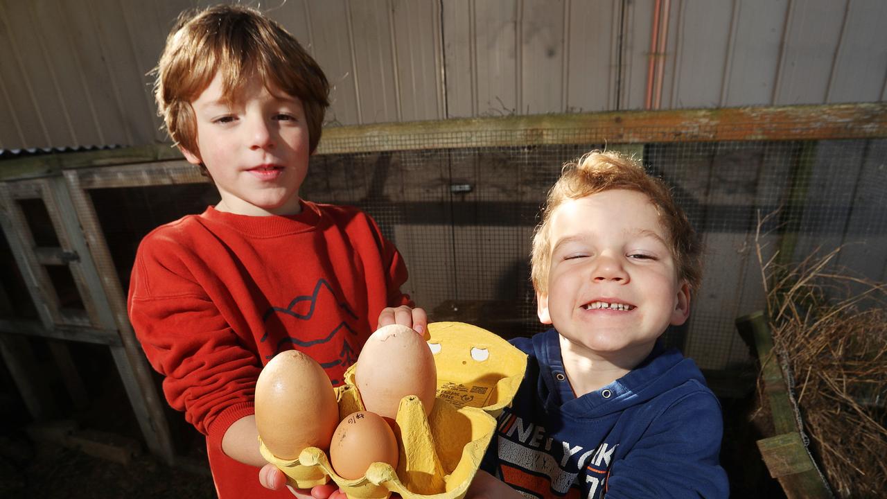 Milo, 8, and Finn, 5, with two giant eggs from their grandma's chooks in Breamlea. Picture: Alan Barber