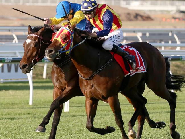 Races at Eagle Farm, Stradbroke day. Winner of race 8 the Stradbroke Handicap, Under the Louvre, Jockey Dwayne Dunn. Pic Jono Searle.