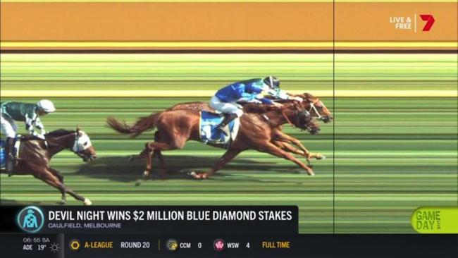 Devil Knight wins Blue Diamond Stakes