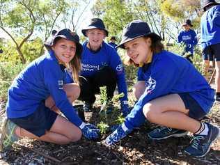 TREE DAY: Sarah Swan, Jael Halls and Hannah Waldron plant a tree at Roma State College middle campus in preparation for National Tree Day. Picture: Alexia Austin