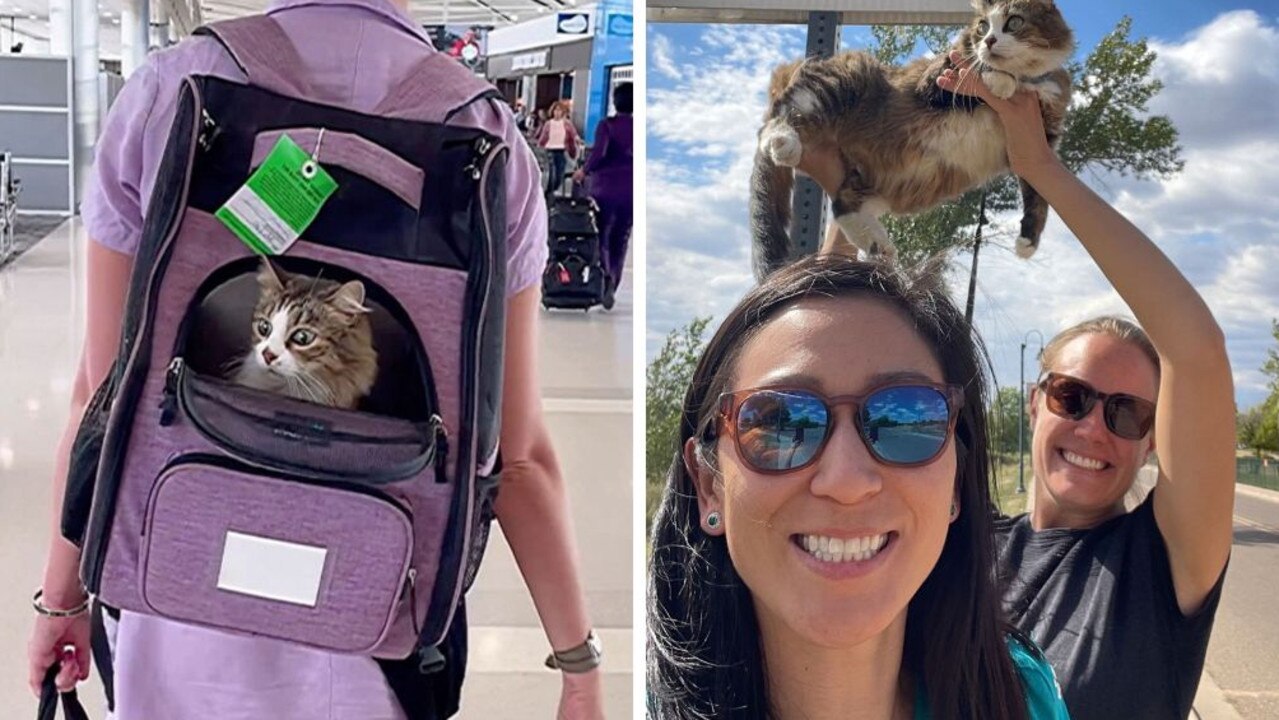 A US couple has spent two years travelling with their cat, Bao Zi. Pictures: Caters News Agency