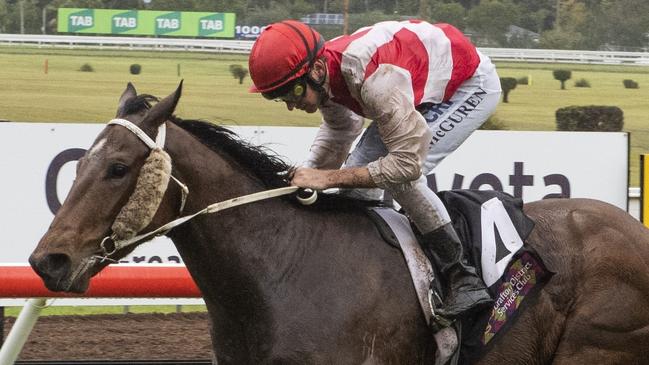 Matthew McGuren rides Street Smarts at Coffs Harbour on Sunday.