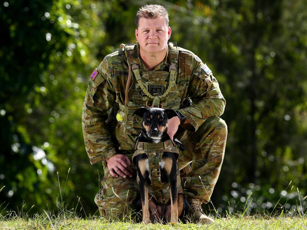 Canine warriors honoured for their service to this country | The ...