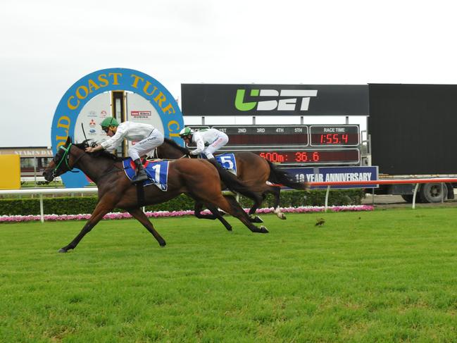 SISTER and brother combination Angela Plumb (trainer) and Ryan Plumb (jockey) join forces to win Stuart James Memorial Maiden Handicap (1800m) with Barraaj on Gold Coast on Saturday, January 21, 2017. Photo:Jessica Hawkins/Trackside Photography