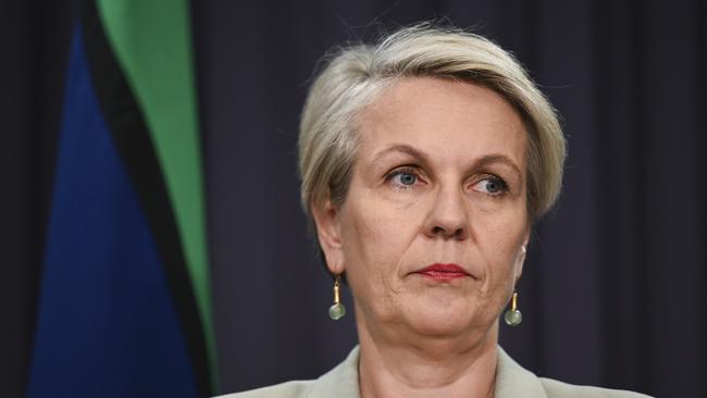 Environment Minister Tanya Plibersek holds a press conference at Parliament House in Canberra. Picture: NewsWire / Martin Ollman