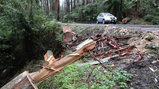 The Yarra Ranges tourist route is notorious for falling trees. Picture: David Crosling