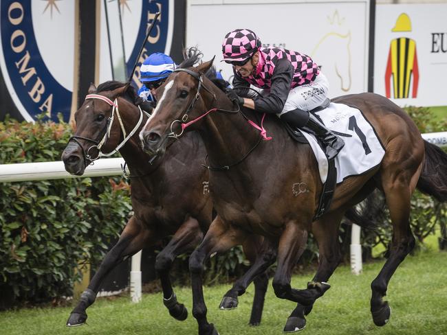 Rothfire and jockey Ben Thompson (centre) win the King of the Mountain for trainer Robert Heathcote at Clifford Park Racecourse, Monday, January 1, 2024. Picture: Kevin Farmer