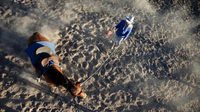 Jess Powell breaks a Snowy Mountain brumby.