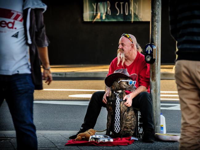 A local busker at Bondi dresses up his pooch. Picture: Jonathan Armstrong