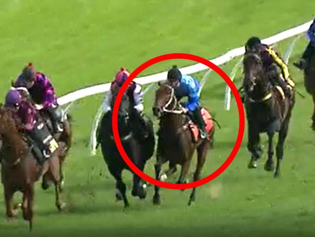 The Kris Lees-trained Etude (circled) was most impressive when running home for second in a recent Gosford trial. Picture: Racing NSW screengrab