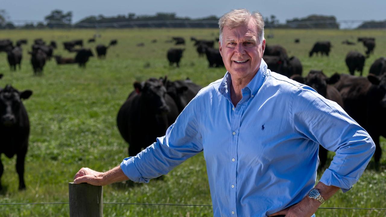 Tim-Roberts Thomson and Peter Hughes discuss the future of the cattle ...