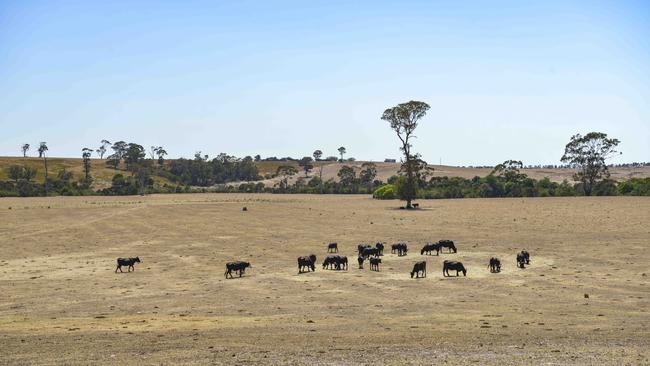 Feel the burn: Southeast Australia has sweltered under a hotter, drier-than-average start to the year.