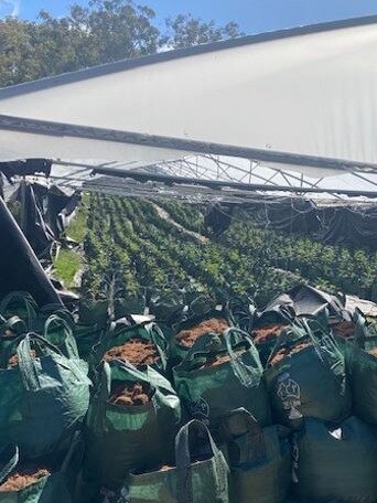Large bags of the substance were uncovered. Picture: NSW Police