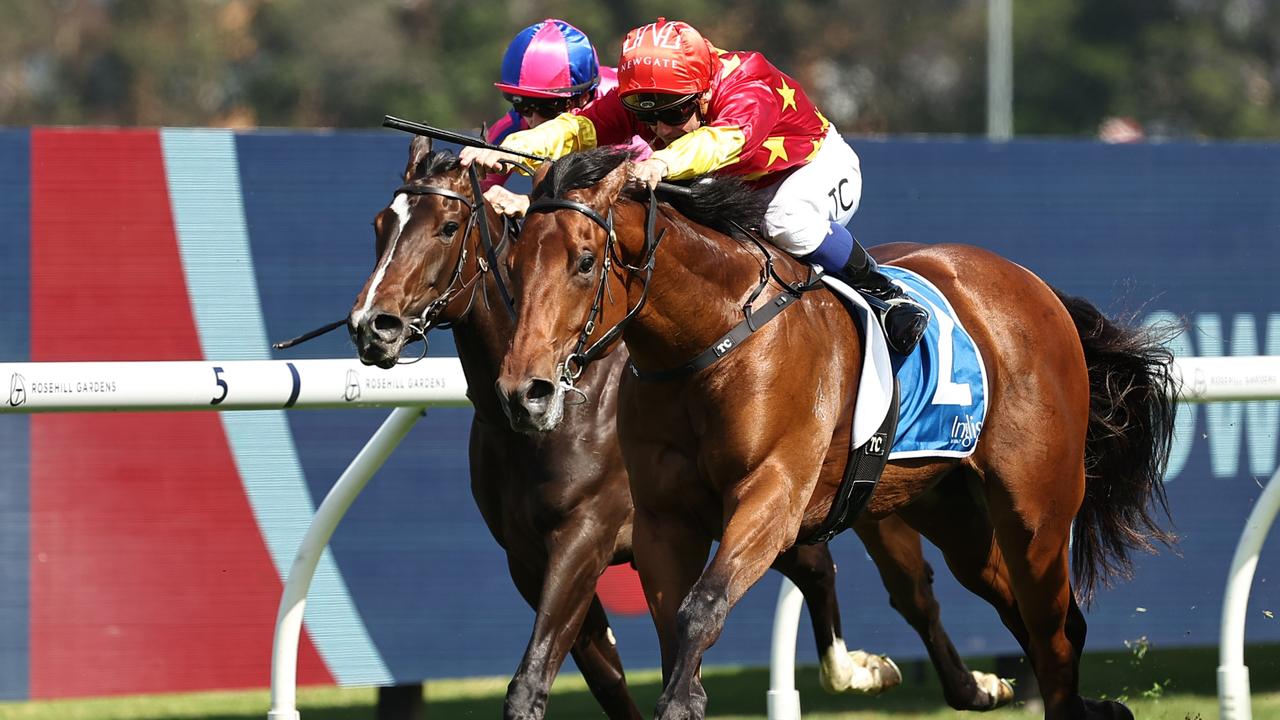 North England laid down a Golden Slipper marker at Rosehill Gardens trials. Picture: Jeremy Ng/Getty Images