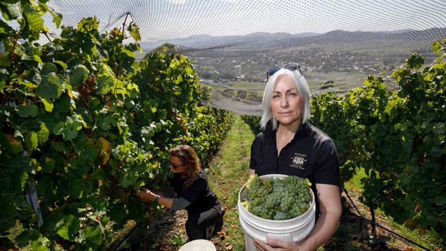 Pooley Wines general manager Angela Gosden and vineyard supervisor hannah mcKay at the Coal River Valley in Southern Tasmania. Picture: Peter Mathew