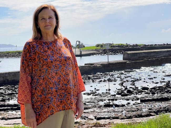 Labor Member for Shellharbour Anna Watson says she “really feels” for Ms Frino. Picture: Dylan Arvela