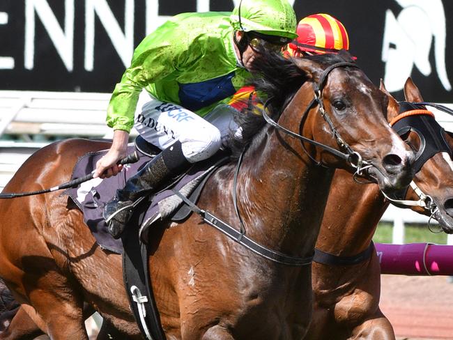 Royal Symphony is favourite for this year’s Caulfield Guineas. Picture: Getty Images