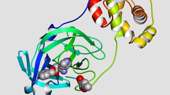 An image of COVID-19 taken by Synchrotron Melbourne.