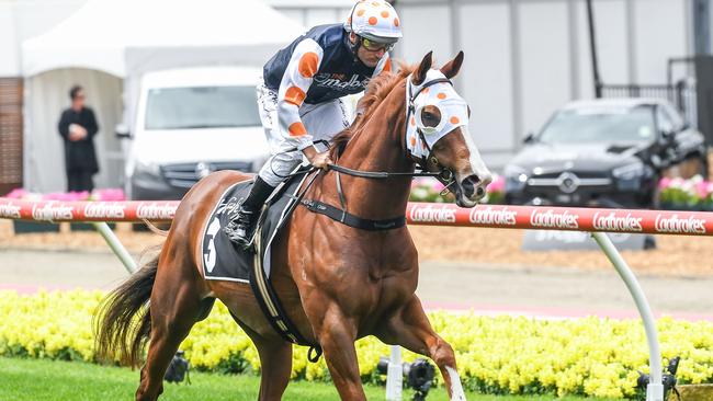 Just Folk will either run in the $500,000 Cranbourne Cup or chase $1m in The Gong at Kembla Grange on Saturday. Picture: Racing Photos via Getty Images.
