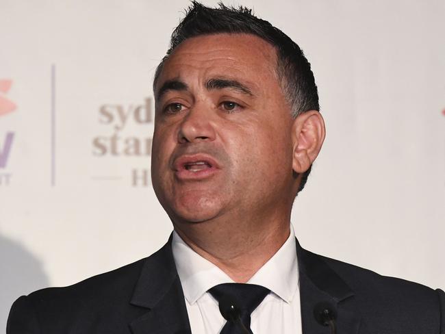 NSW Deputy Premier John Barilaro will make the horses a protected species. Picture: AAP Image/Peter Rae