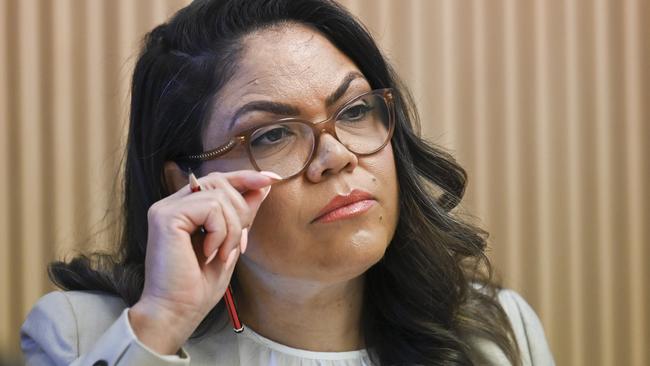 Northern Territory Senator Jacinta Nampijinpa Price was elected into parliament in the 2022 federal election before she became the face of the No campaign. Picture: NewsWire/ Martin Ollman