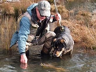 Greg Beecroft catches a wily trout as Dusty keenly looks on. Picture: Charles Wooley