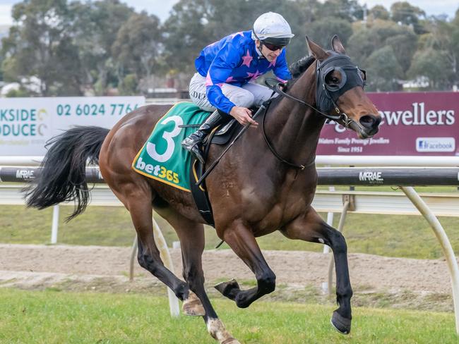 Detroit City ridden by Jake Duffy wins the bet365 Jack Maher Classic at Wodonga Racecourse on July 14, 2024 in Wodonga, Australia. (Photo by Jay Town/Racing Photos via Getty Images)