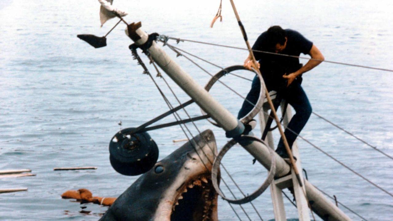 How a ‘dumb shark movie’ hooked Hollywood