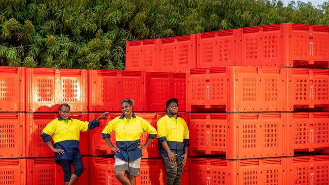 Annie Kintor, Charline Lolting and Bill Frazer Alling are among the Vanuatu fruit pickers working on Arnhem Mangoes’ mango farm. Picture: Che Chorley