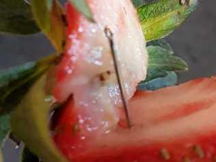 SPIKED: A needle embedded in a strawberry has been found in Tweed Heads. Picture: Facebook: Angela Stevenson