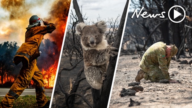 The most compelling photos of the Australian bushfires