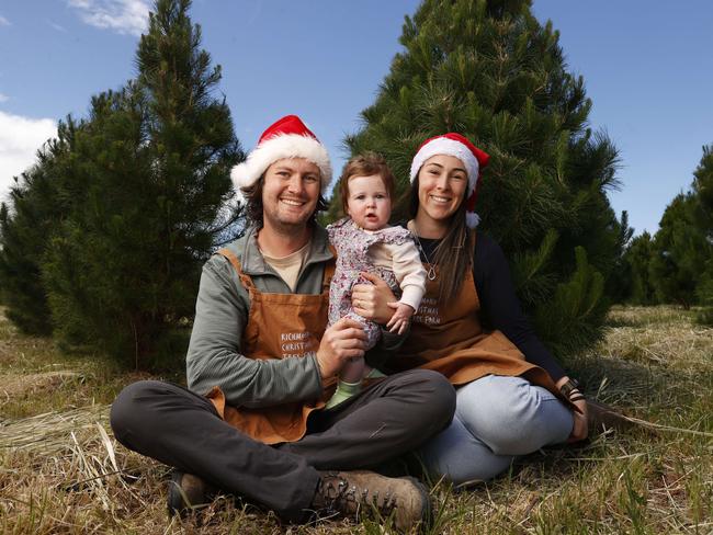 Christmas tree farmers Rohan and Jade Polanowski with daughter Zoe 9 months will celebrate their first Christmas as the owners of Richmond Christmas Tree Farm.  Picture: Nikki Davis-Jones