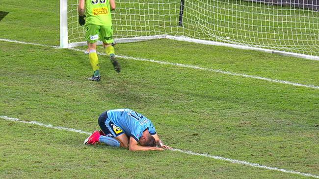 Sydney FC's Filip Holosko on the ground at Allianz Stadium.