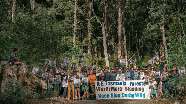 Blue Derby Wild has lost its bid to appeal in the High Court over Tasmanian government logging coupes near Derby’s well-loved mountain biking tracks. Picture: Daniel Van Duinkerken