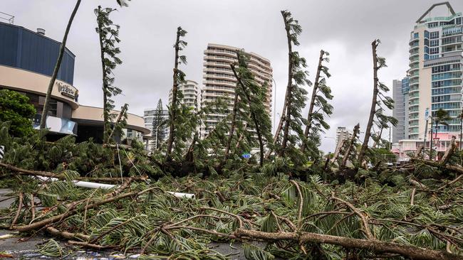 A fallen tree sits across a road in front of buildings in Coolangatta on March 7, 2025 (Photo by DAVID GRAY / AFP)