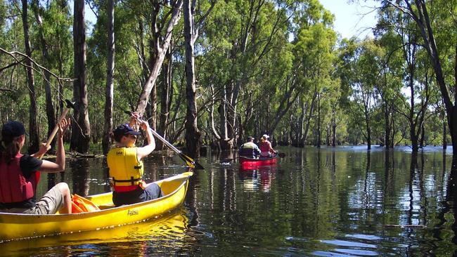 Gunbower Koondrook-Perricoota Forest along the Murray River.