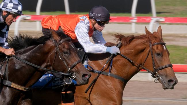 2019 Melbourne Cup winner Vow and Declare ridden by Craig Williams ( front horse) and Russian Camelot ridden by Damien Oliver ( on left) hit the track at Geelong Racing Club . Picture: Mark Wilson