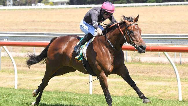 Heywood won well first-up last campaign. Picture: Brett Holburt/Racing Photos via Getty Images