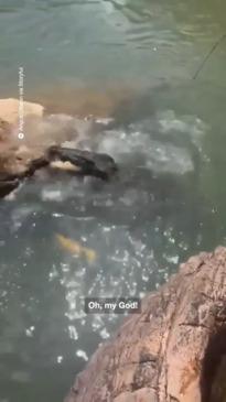 Crocodile vs fishermen