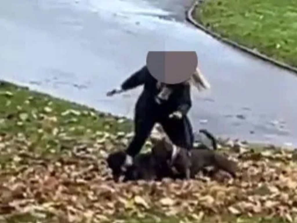 The horrifying moment a schoolboy is pinned to the ground and savaged by a ‘pitbull-type’ dog has been captured in disturbing footage.