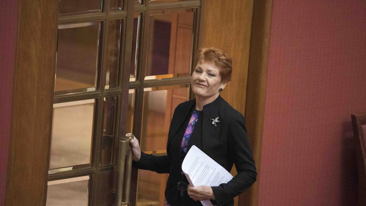 The One Nation senator made the comments during a debate on whether a minister misled the Senate. Picture: NCA NewsWire / Gary Ramage