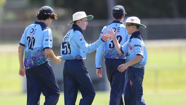 Newcastle City celebrate a wicket. Hamwicks v Newcastle City, SG Moore Cup round three at Kahibah Oval. Picture: Sue Graham