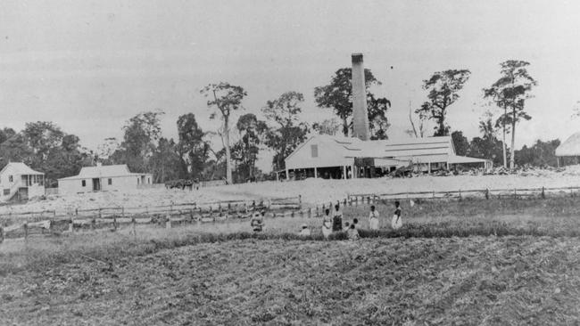 Branscombe Mill circa 1870. Australian South Sea Islander workers can be seen in the foreground. Picture: Courtesy of the John Oxley Library, State Library of Queensland.