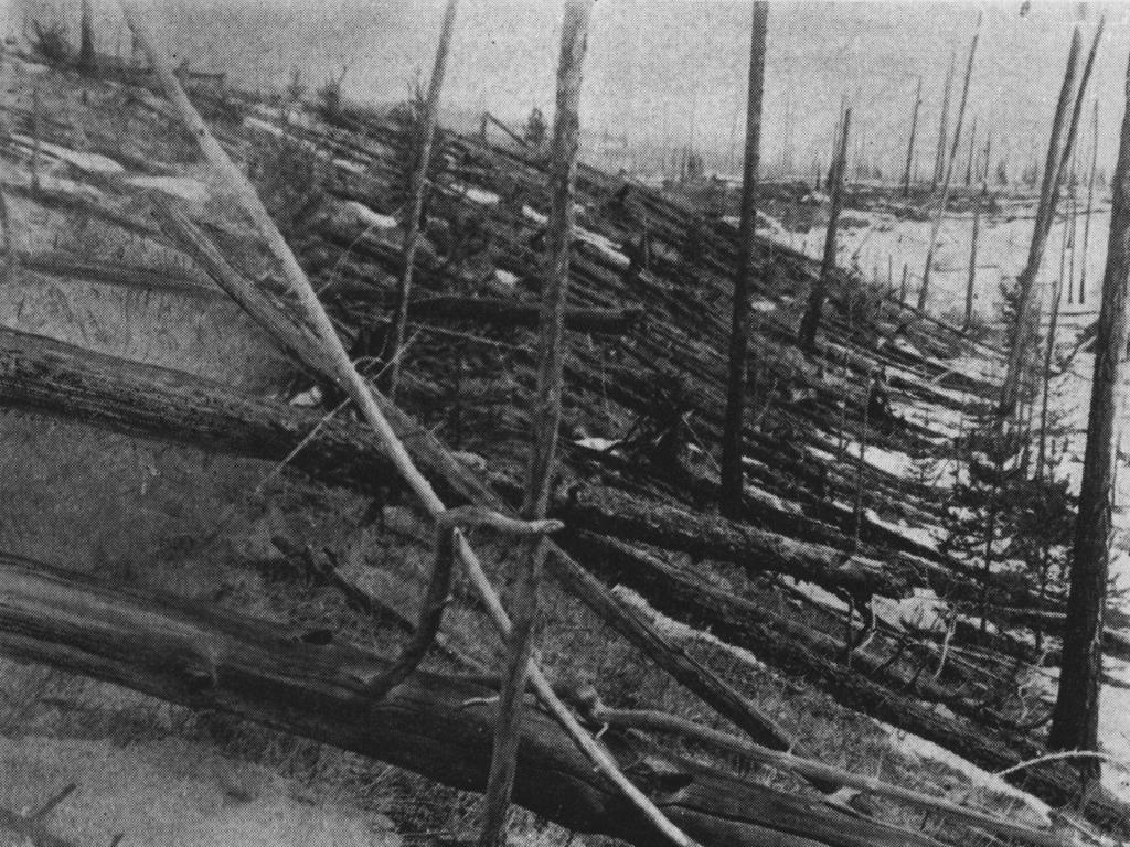 A photo of flattened trees taken by Leonid Kulik on a 1927 expedition to Tunguska, which was hit by a mysterious fireball from the sky in 1908.