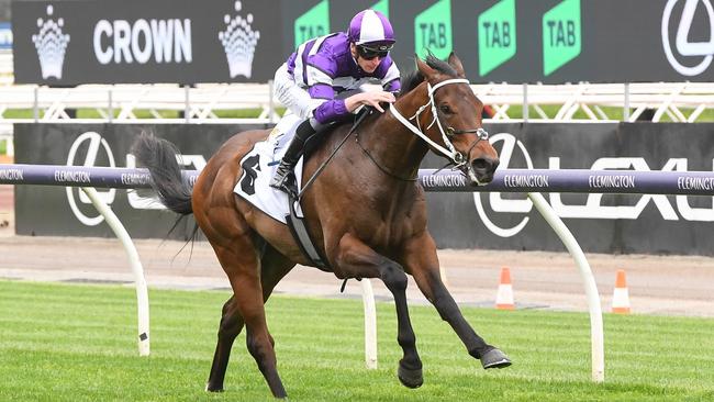 Riff Rocket is one of the leading contenders for the Victoria Derby on Saturday. Photo: Brett Holburt/Getty Images.