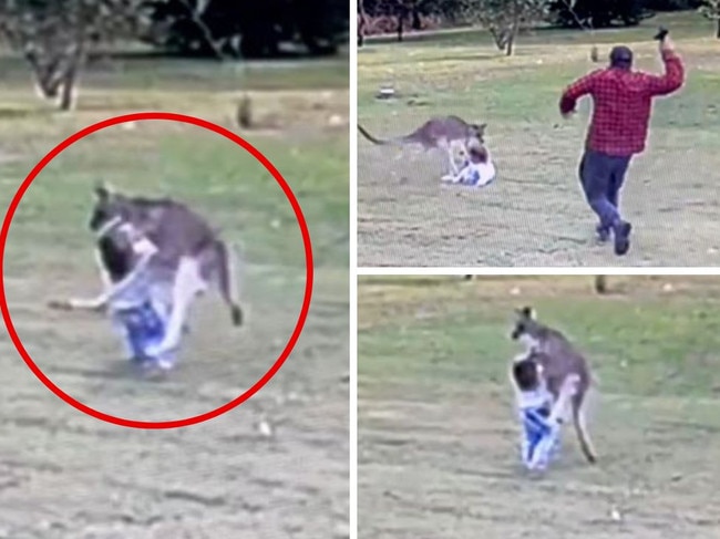 The terrifying attack was caught on the family's CCTV. Picture: Viralhog
