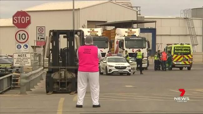 Man hit by truck at chicken factory (7NEWS)