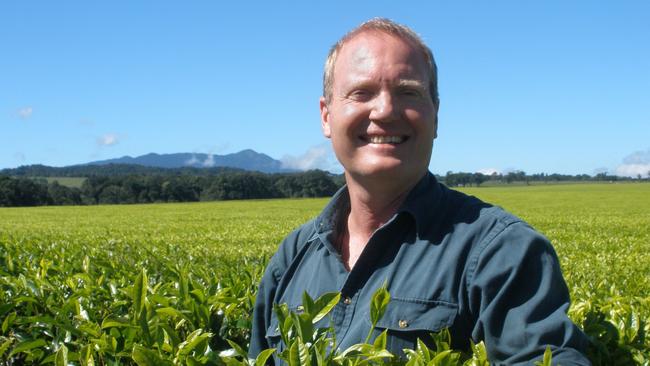 Nerada Tea plantation director Tony Poyner.