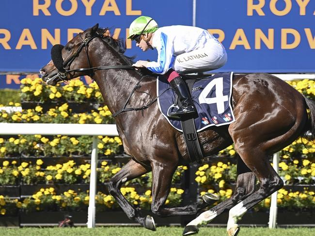 Crafty Eagle winning at Randwick earlier this year. Photo: Bradley Photos.