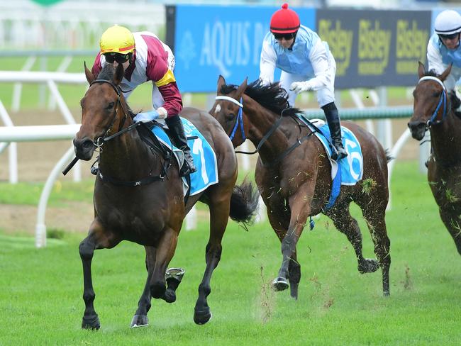 Arabian Summer puts herself in Magic Millions contention by winning the Gold Pearl at the Gold Coast for jockey Harry Coffey. Picture: Grant Peters - Trackside Photography